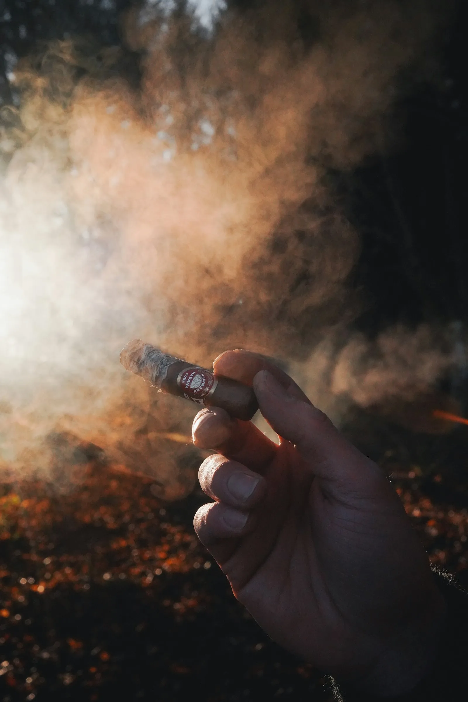 A hand holding a lit cigar with smoke rising into the night
